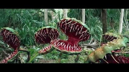 Wild of Secrets - New 2025 Hollywood Movie in Hindi Dubbed - Chinese Action Thriller Trending Film