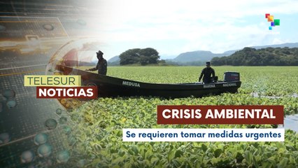 En El Salvador, miles de peces mueren por falta de oxígeno