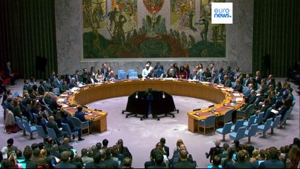 El Consejo de Seguridad de la ONU aprueba el plan de paz de Trump para Gaza