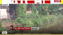 മലപ്പുറം വാഴക്കാട് മീനുകൾ കൂട്ടത്തോടെ ചത്തുപൊങ്ങി