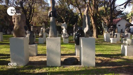 Eco Africa - How can we build the future better?