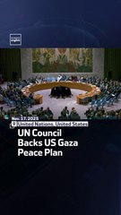 UN Council Backs US Gaza Peace Plan