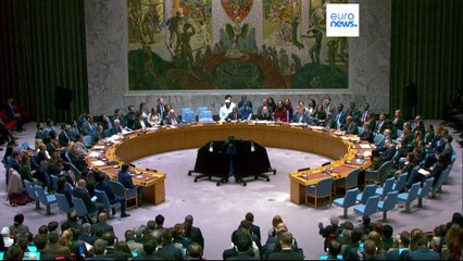 UN Security Council approves Trump's peace plan for Gaza