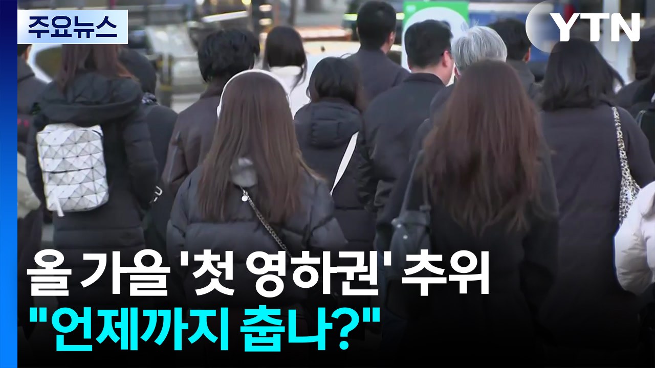 노란 은행잎 사이 겨울 추위 절정..."언제까지 춥나?" / YTN