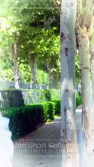 Divorced And Now A Billionaire's Granddaughter