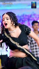 Patar Kamaria Viral Song | Trending in India | Shilpi Raj Music and Entertainment