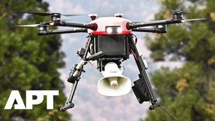 Japan Deploys ‘Hunting Drones’ to Scare Off Bears After Record Attacks and Tourist Injury | APT