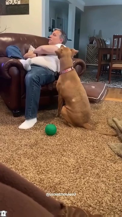 ÇoK  ISINMAYA köpek