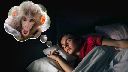 Monkey In Dream Meaning: सपने में बंदर देखने का मतलब | Sapne Me Bandar Dekhne Ka Matlab