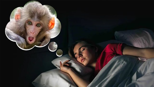 Monkey In Dream Meaning: सपने में बंदर देखने का मतलब | Sapne Me Bandar Dekhne Ka Matlab