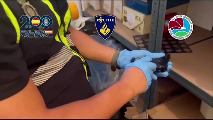 Golpe al Cártel de Jalisco en España: 20 detenidos que traían droga en maquinaria pesada