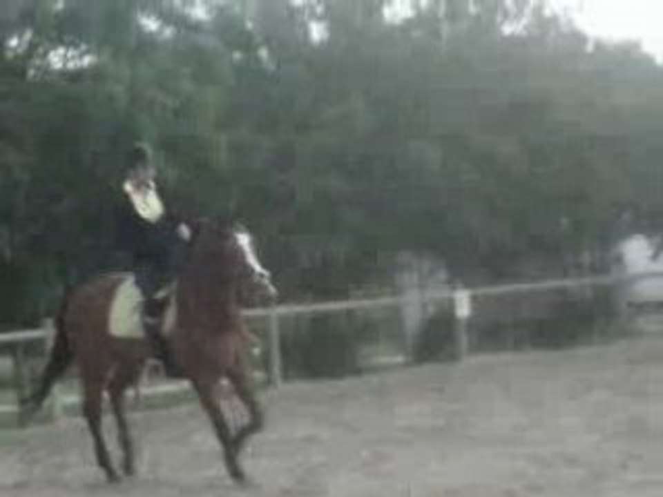 Essaie changements de pieds sur une barre au sol