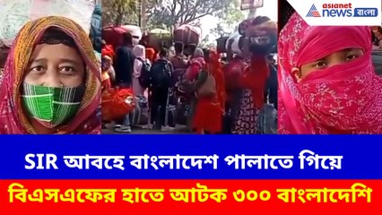 SIR আবহে বাংলাদেশ পালাতে গিয়ে বিএসএফের হাতে আটক ৩০০ বাংলাদেশি