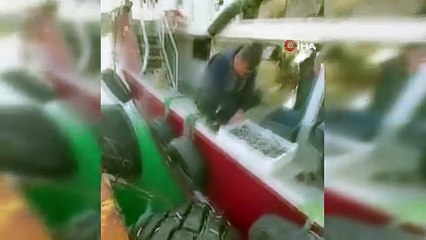 Balıkesir’de Ücretsiz Hamsi!