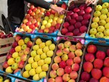 Les délicieuses pommes du Pilat font la fête - Appétit - TL7, Télévision loire 7