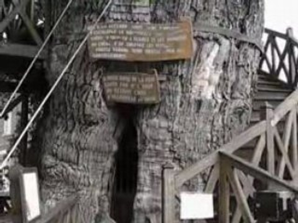 Le chêne millénaire d'Allouville-Bellefosse