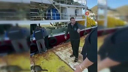 Kasasını 200 TL'ye alıp, kilosunu 200 TL'ye satınca ortalık karıştı!