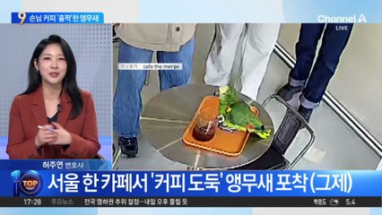 “손님 커피 훔쳐 마셔요”…범인 잡고 보니?