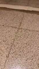 my cats wants says hello for all here