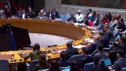 La ONU adopta e pln de paz de Trump para Israel y Palestina