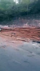 Carreta com carga de madeira tomba em acidente na AL-105