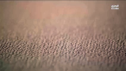 مسلسل المحتالون الحلقة 6 كاملة مترجمة - قرمزي - قصة عشق الاصلي