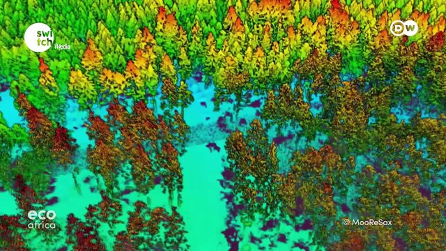 Eco Africa - Approaches to improving our environment