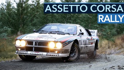 Assetto Corsa Rally - Fazit zur Early-Access-Version: Der neue King der Schotter-Piste!