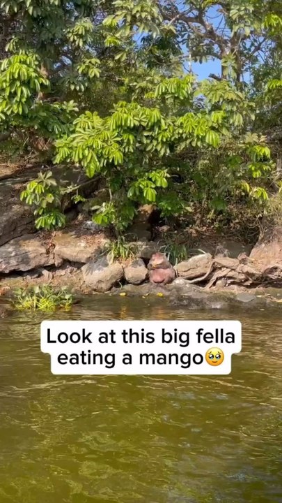 Funny moments