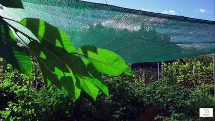 “Vitamin D & Cancer Prevention — What Every Senior Should Know”