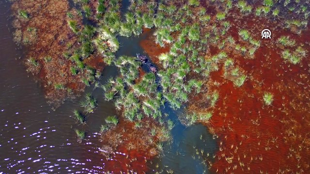 Mandalar, yılkı atları ve daha fazlası: Muhteşem güzellikleri keşfetmeye doyamıyorlar