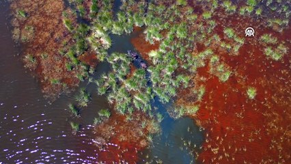 Mandalar, yılkı atları ve daha fazlası: Muhteşem güzellikleri keşfetmeye doyamıyorlar