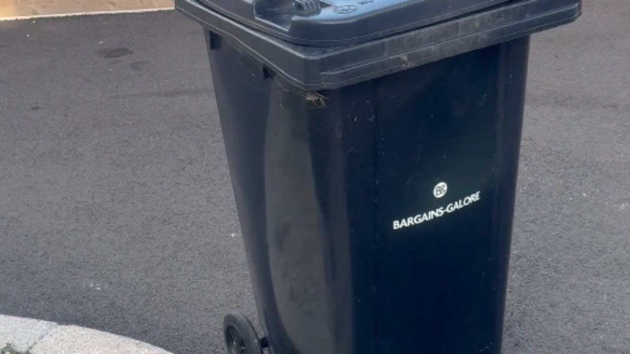 Panic escalates as a rat leaps from the bin while mice are still around