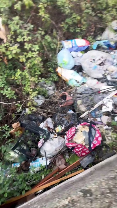 Europa Verde Salerno  - Quartiere Monticelli, su segnalazione del signor Esposito (18.11.25)