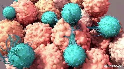 La campagna Ail sulle CAR-T fa tappa a Firenze