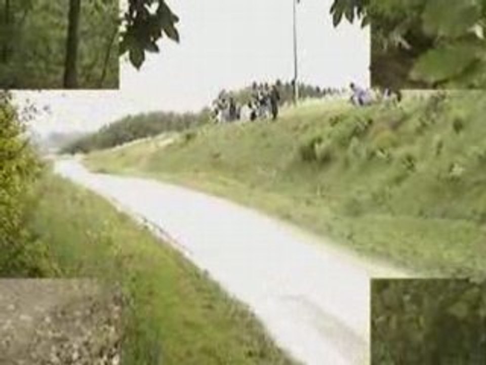 RALLYE ALSACES-VOSGES 2008 PARTY2