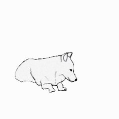 SERDAR ŞİMŞEK HAYVANLAR MÜZİKLİ GİF