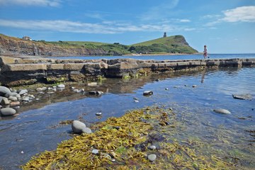 Alton Camera Club members show their latest photographs