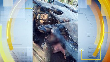 Homem Incendeia Criação de Porcos do Vizinho e Causa Revolta no Distrito de Borracha: Entenda a Pena Prevista pela Lei de Crimes Ambientais