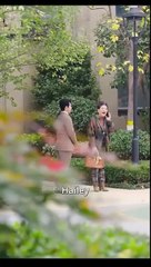 Hidden Identity Unexpected Love Chinese Drama - English Sub