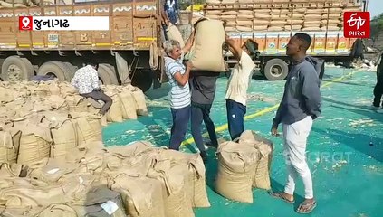 જૂનાગઢ: સોયાબીનની ટેકાના ભાવે ખરીદીનું ખેડૂતોએ સ્વાગત કર્યું, પરંતુ જથ્થામાં ઘટાડો કરવા સામે નારાજગી