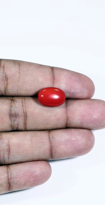 Red​‍​‌‍​‍‌​‍​‌‍​‍‌ Coral – The Gemstone of Strength and Passion