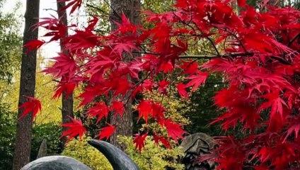 Step into Churt’s secret world of sculpture — over 800 works from local and international artists await among woodland trails and serene gardens