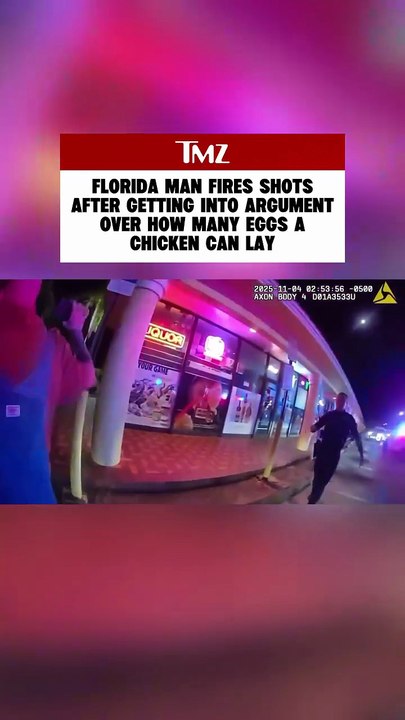 ¿Cuántos huevos pone una gallina? La pregunta que desató tiroteo en Florida