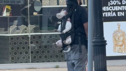 Unusual sight as man uses a Onewheel to walk his dogs along a busy urban street