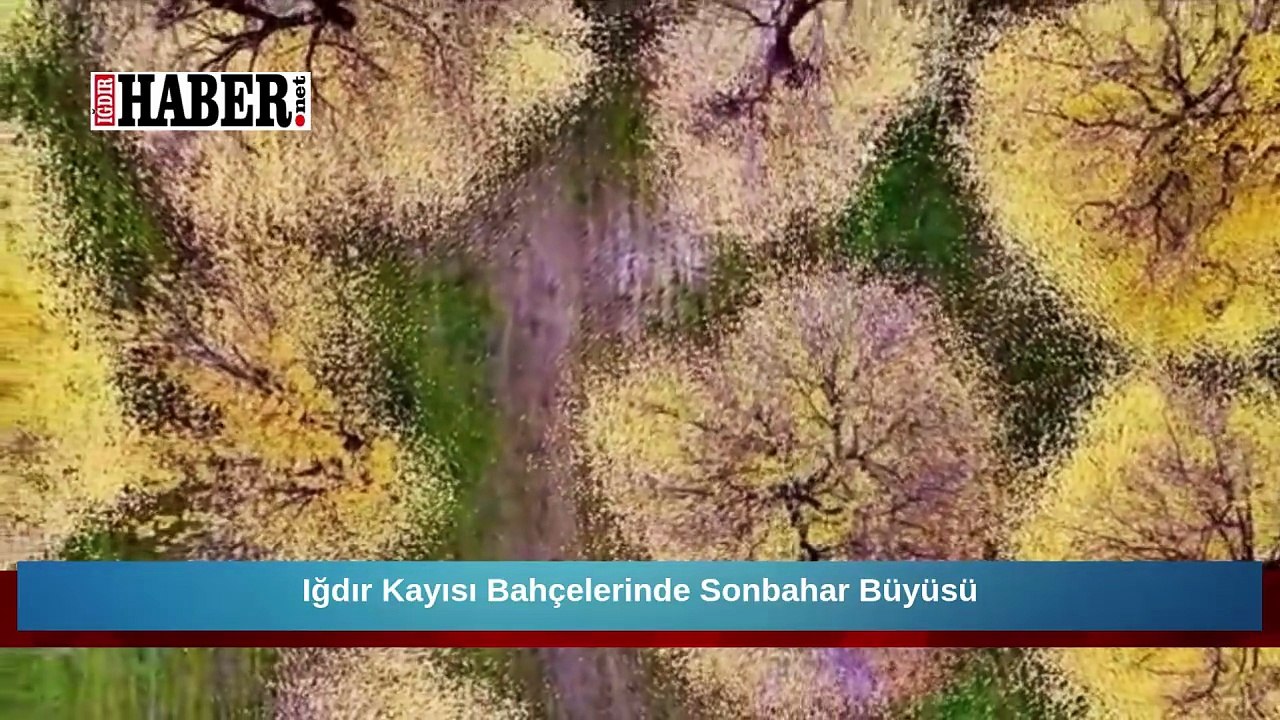 Iğdır Kayısı Bahçelerinde Sonbahar Büyüsü