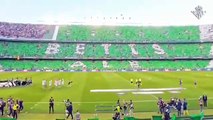 El Betis pone a la venta los asientos y las redes del Benito Villamarín