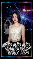 Mèo Méo Meo VinaHouse Remix 2025 | Harumwin