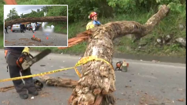 Pareja de motociclistas murió trágicamente tras la caída de un árbol en Santander