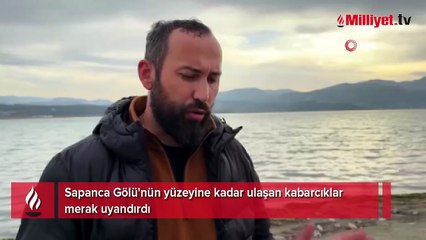 Sapanca Gölü'nde esrarengiz olay! ‘İlk balık sandım, kaynamayı görünce dikkatimi çekti’